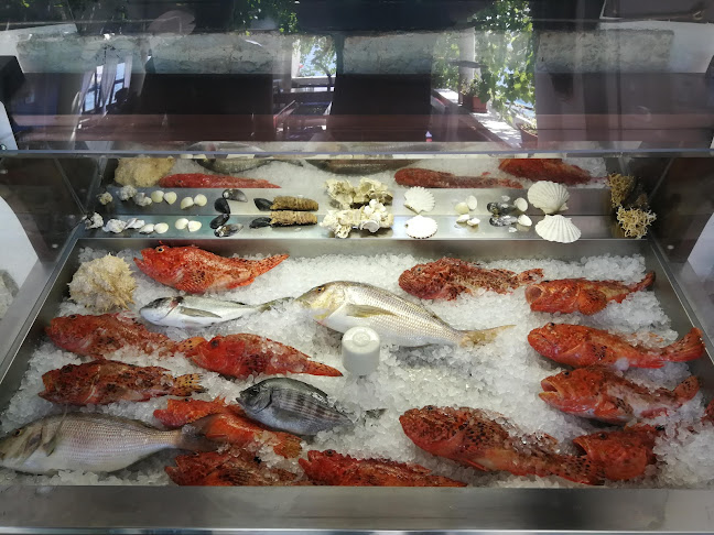 Opinii despre Ribarski Dvor în Prvić Šepurine - Gastronomija i ugostiteljstvo