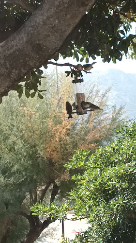 Zvonimirova ul. 98, 51523, Baška