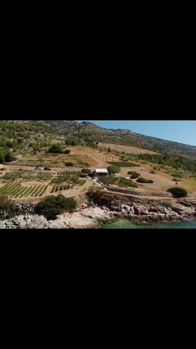 Pansion Konoba Tomić - Gastronomija i ugostiteljstvo