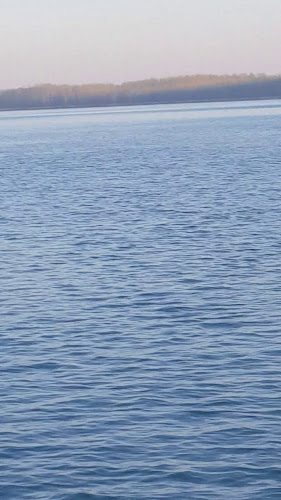 Caffe bar & bistro Marina - Gastronomija i ugostiteljstvo