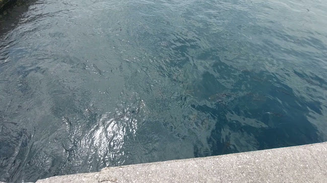 Ul. Riva Boduli 7b, 51000, Rijeka