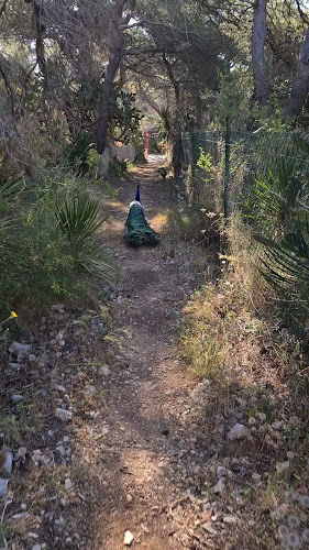 Comentarii opinii despre Ristorante Palmizana Meneghello