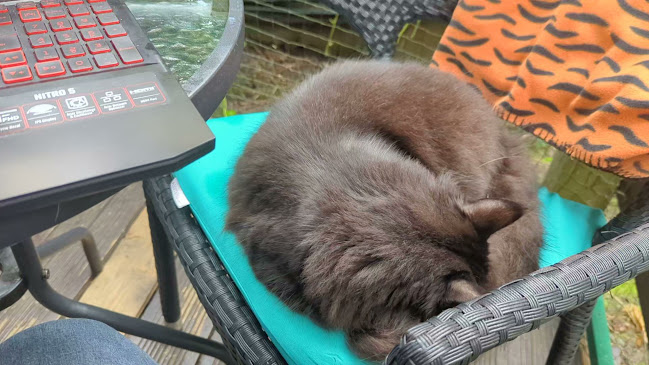 Opinii despre Cat Caffe Zagreb în Zagreb - Gastronomija i ugostiteljstvo