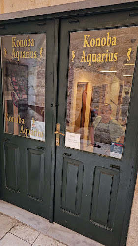 Konoba Aquarius - Dubrovnik