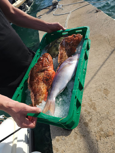 Comentarii opinii despre Ribarski Dvor