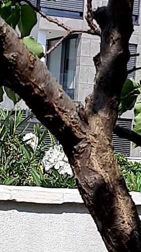 Obala 145, 21222, Poljica