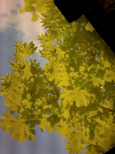 Caffe bar Dobardan - Gastronomija i ugostiteljstvo