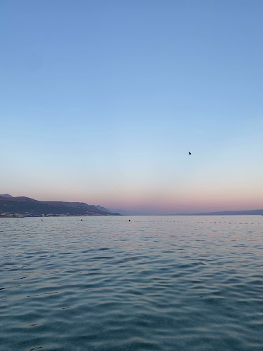 Beach Bar Cool - Gastronomija i ugostiteljstvo