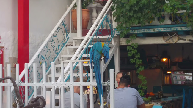 Ul. Kamila Pamukovića 9, 22211, Vodice