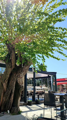 Placa 1, 20230, Ston