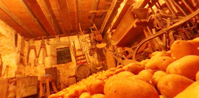 Pansion Konoba Tomić