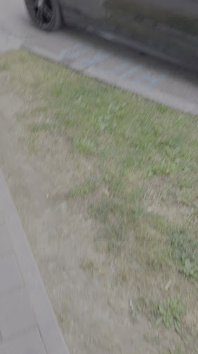 Restoran Bicko - Gastronomija i ugostiteljstvo