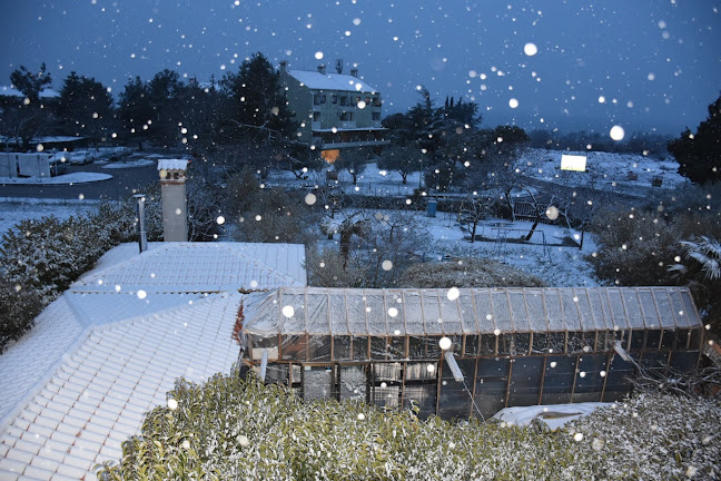 Fermići 4b, 52466, Novigrad