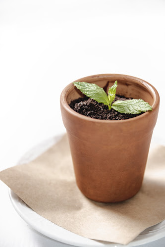 Trg svetog Stjepana 31, 21450, Hvar