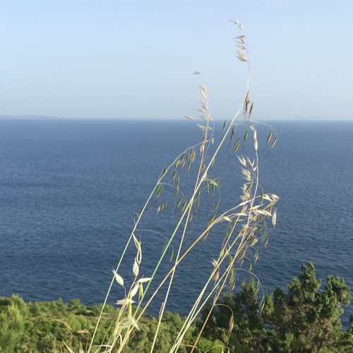 Duba Beach Bar - Hvar