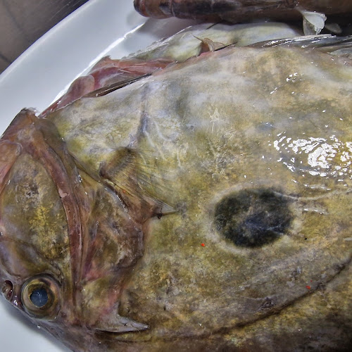 Restoran Kaiser - Gastronomija i ugostiteljstvo