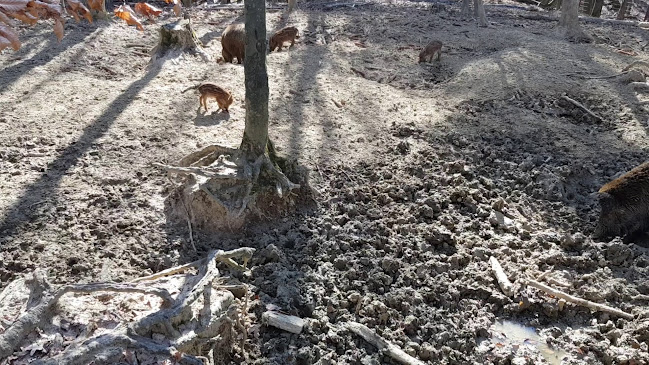 Izletište Ključić Brdo - Gastronomija i ugostiteljstvo