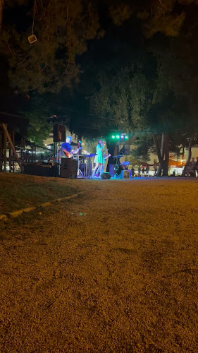 Comentarii opinii despre Terra Magica