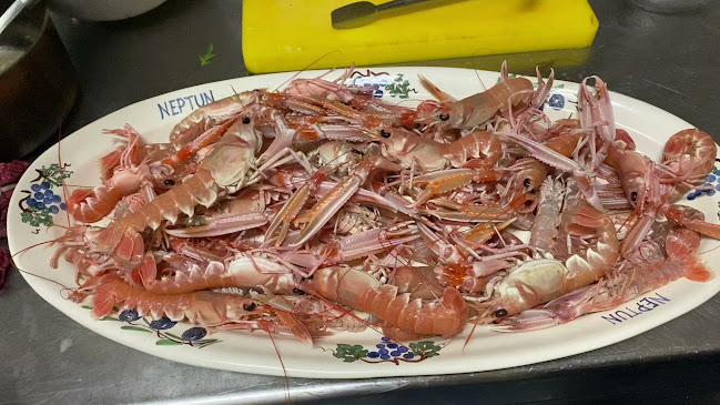 Opinii despre Neptun Bistro & Diving Center în Šilo - Gastronomija i ugostiteljstvo