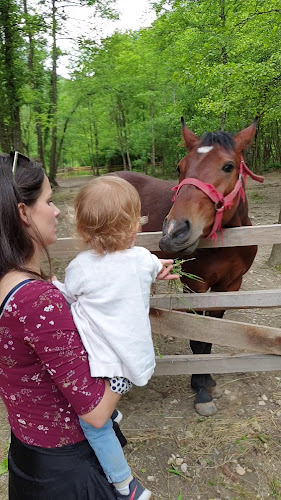 Izletište Kršlinov mlin - Gastronomija i ugostiteljstvo