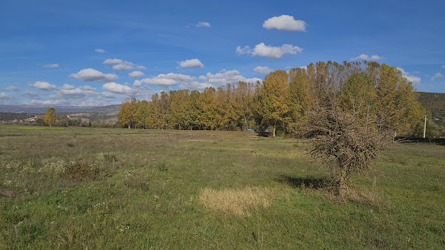 Opinii despre Restoran Premijer Gaz în Trilj - Gastronomija i ugostiteljstvo