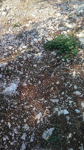 Loznati, 51557, Cres