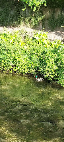 Comentarii opinii despre Familija Restaurant