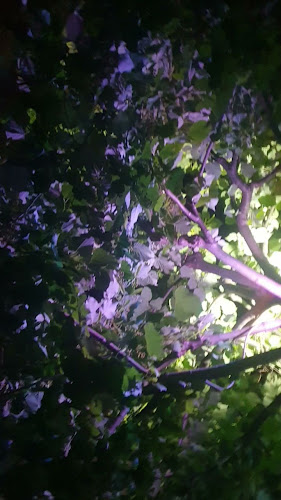 Comentarii opinii despre TEATRO BAR