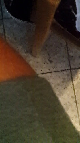 Restaurant “Pastrik” - Rovinj