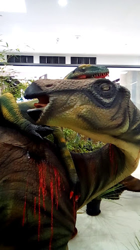 Food supernova - Zadar