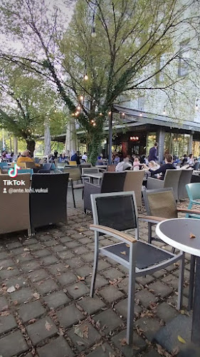 Comentarii opinii despre Vivas Bar Bundek