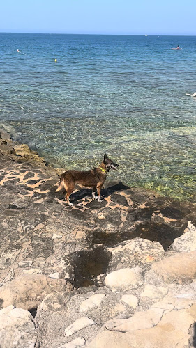 Macumba Beach Club & Grill - Gastronomija i ugostiteljstvo