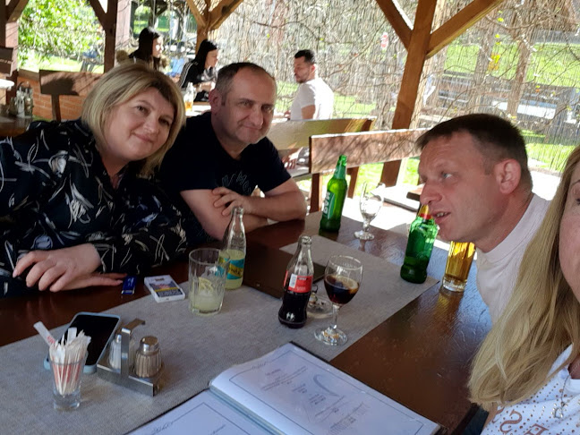 Villa Vladimir - Gastronomija i ugostiteljstvo