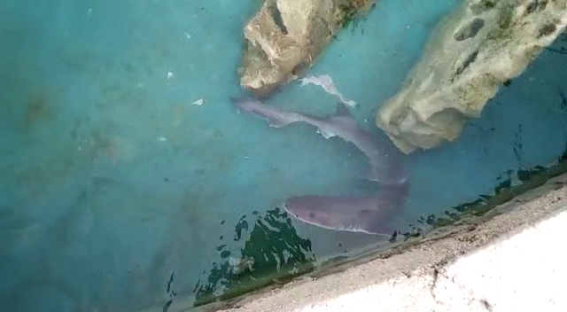 Otok Kornat Uvala Koromačna Nacionalni park Kornati, 22243, Murter