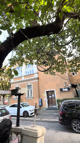 Comentarii opinii despre The Beertija