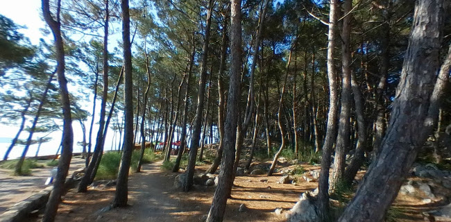 Opinii despre Beach bar Plav în Krk - Gastronomija i ugostiteljstvo