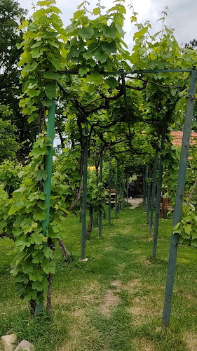 Grešna gorica seljački turizam - Desinić