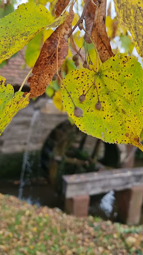 Comentarii opinii despre MAJSECOV MLIN