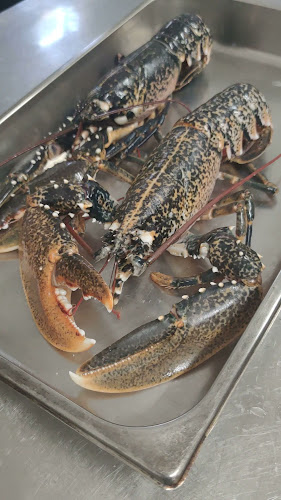 Konoba Tramontana Umag - Umag