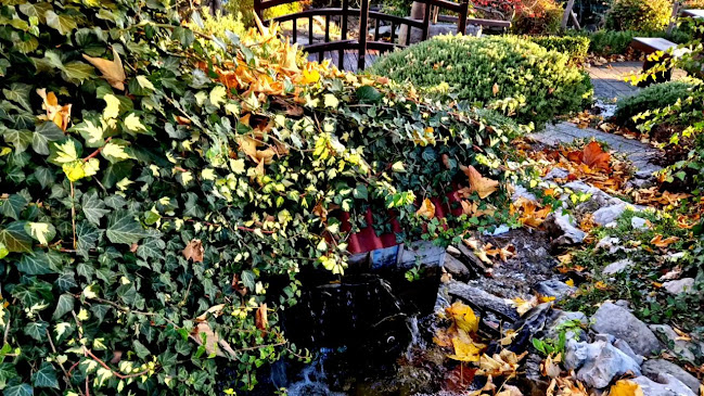 Comentarii opinii despre Konoba Volte