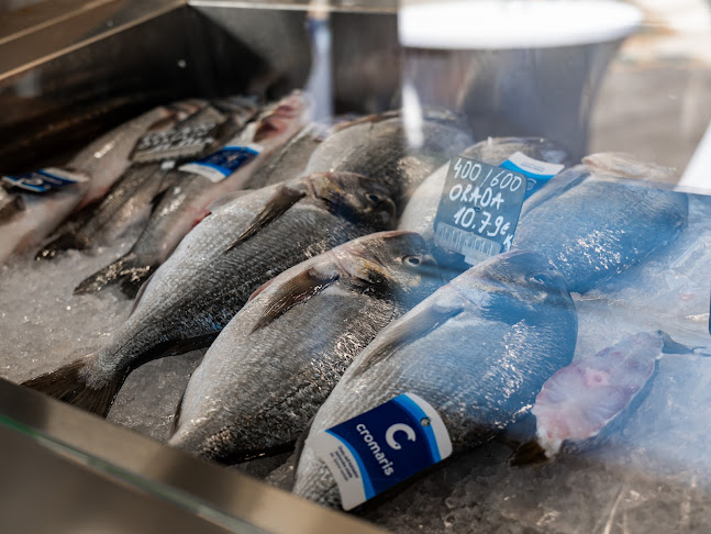 Ribarnica Zadar - Zadar