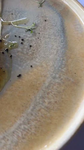 Comentarii opinii despre Kadena