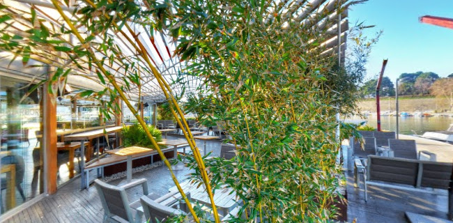 Obala kneza Branimira 6A, 23000, Zadar