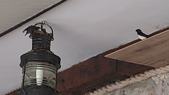 Opinii despre Konoba Pod Orajom în Klenovica - Gastronomija i ugostiteljstvo