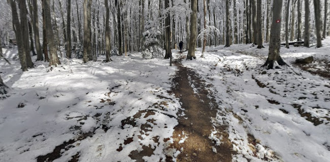 Planinarski dom Grafičar / Malo Sljeme d.o.o. - Zagreb