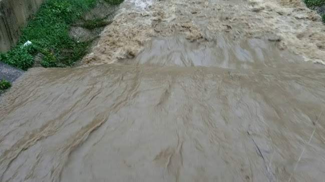 Kavana Maksimilijan - Gastronomija i ugostiteljstvo