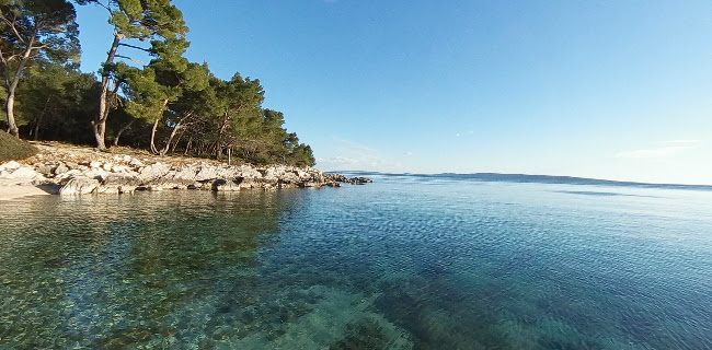 Žal Beach Bar & Kitchen