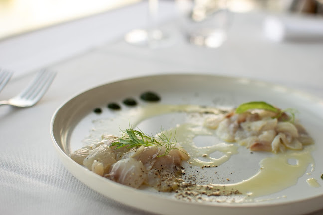 Comentarii opinii despre Ribarska Koliba restaurant