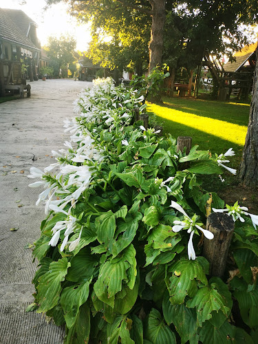 Zlatni Klas Otrovanec