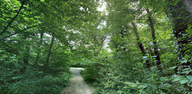 Maksimirski perivoj 1, 10000, Zagreb